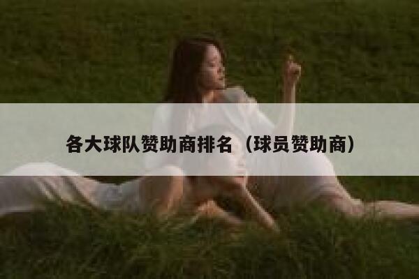 各大球队赞助商排名（球员赞助商） 第1张