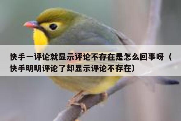 快手一评论就显示评论不存在是怎么回事呀（快手明明评论了却显示评论不存在） 第1张