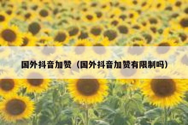 国外抖音加赞（国外抖音加赞有限制吗） 第1张