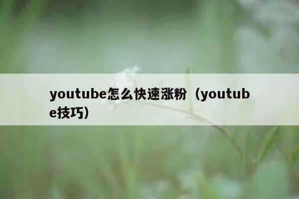 youtube怎么快速涨粉（youtube技巧） 第1张