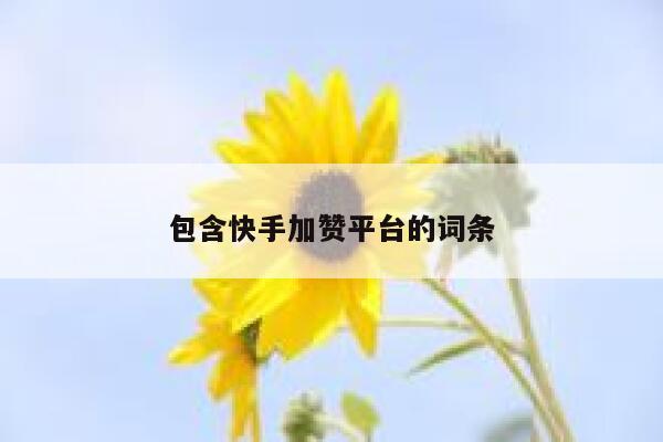 包含快手加赞平台的词条 第1张