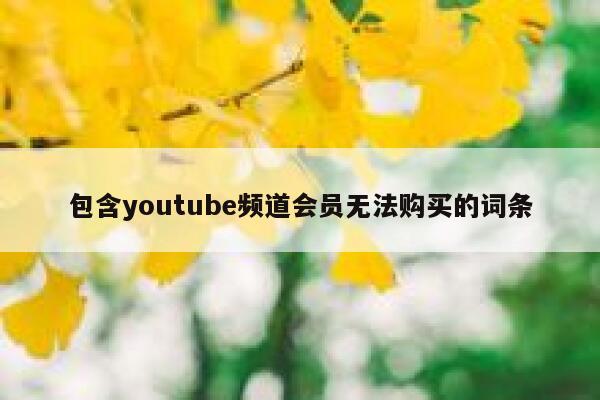 包含youtube频道会员无法购买的词条 第1张