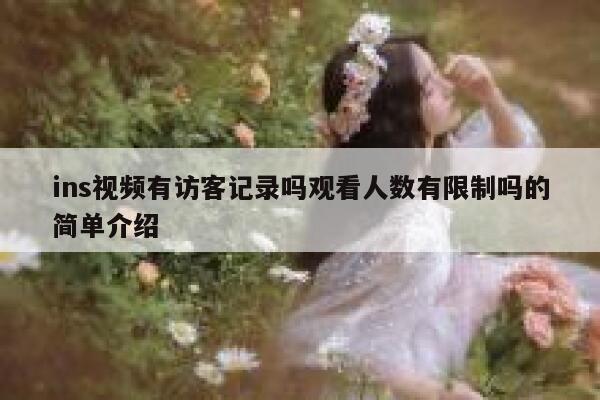 ins视频有访客记录吗观看人数有限制吗的简单介绍 第1张