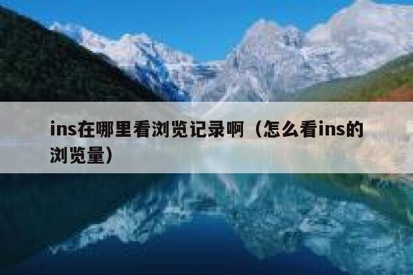 ins在哪里看浏览记录啊（怎么看ins的浏览量） 第1张