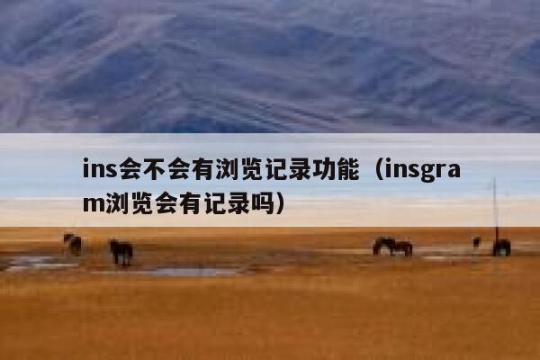 ins会不会有浏览记录功能（insgram浏览会有记录吗） 第1张