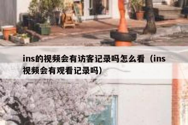 ins的视频会有访客记录吗怎么看（ins视频会有观看记录吗） 第1张