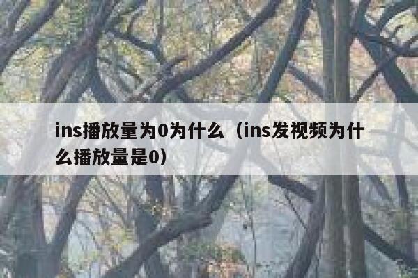 ins播放量为0为什么（ins发视频为什么播放量是0） 第1张