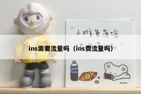 ins需要流量吗（ins费流量吗） 第1张