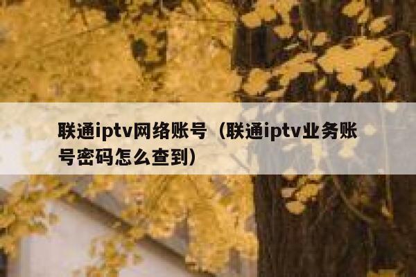 联通iptv网络账号（联通iptv业务账号密码怎么查到） 第1张