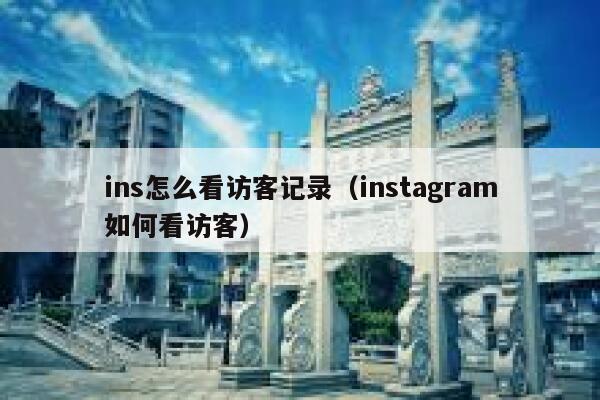 ins怎么看访客记录（instagram如何看访客） 第1张