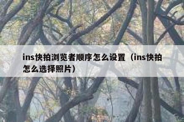 ins快拍浏览者顺序怎么设置（ins快拍怎么选择照片） 第1张