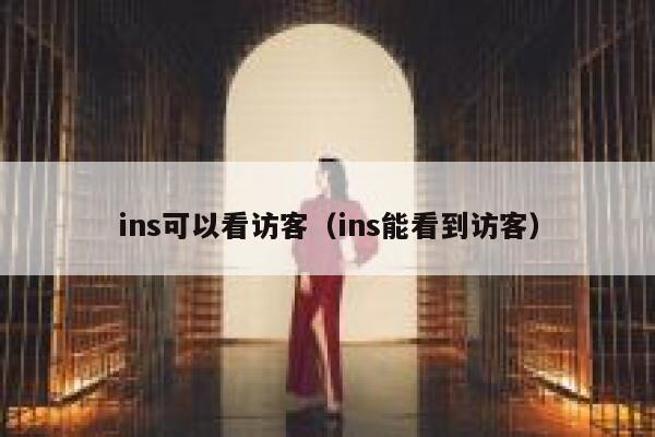 ins可以看访客（ins能看到访客） 第1张