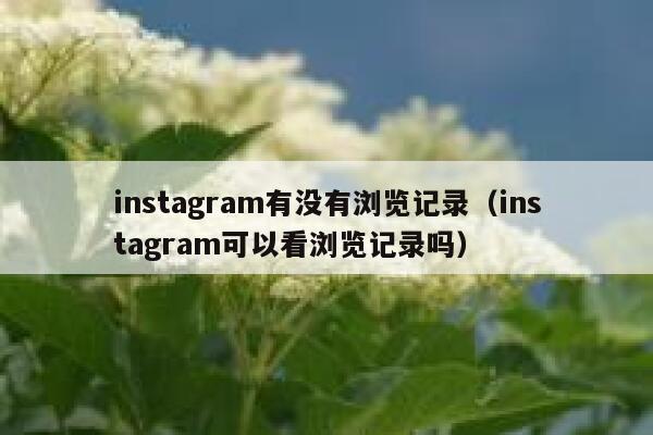 instagram有没有浏览记录（instagram可以看浏览记录吗） 第1张