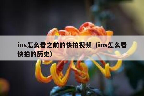ins怎么看之前的快拍视频（ins怎么看快拍的历史） 第1张