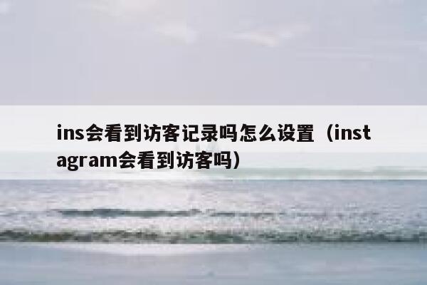 ins会看到访客记录吗怎么设置（instagram会看到访客吗） 第1张