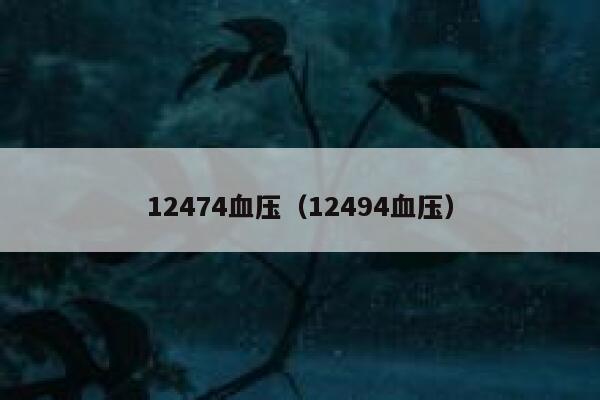 12474血压（12494血压） 第1张