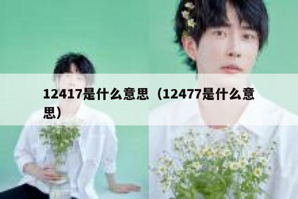 12417是什么意思(12477是什么意思) 第1张 12417是什么意思(12477是什么意思) 第1张