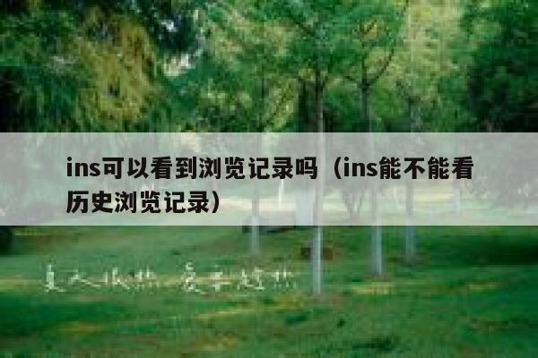 ins可以看到浏览记录吗（ins能不能看历史浏览记录） 第1张