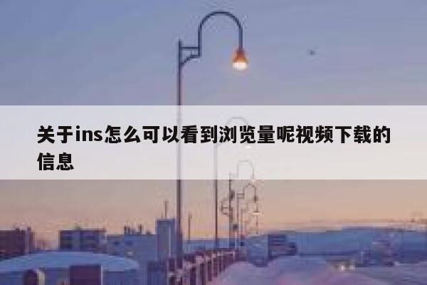 关于ins怎么可以看到浏览量呢视频下载的信息 第1张