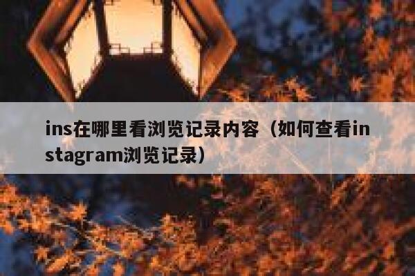 ins在哪里看浏览记录内容（如何查看instagram浏览记录） 第1张