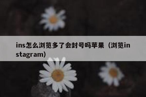 ins怎么浏览多了会封号吗苹果（浏览instagram） 第1张