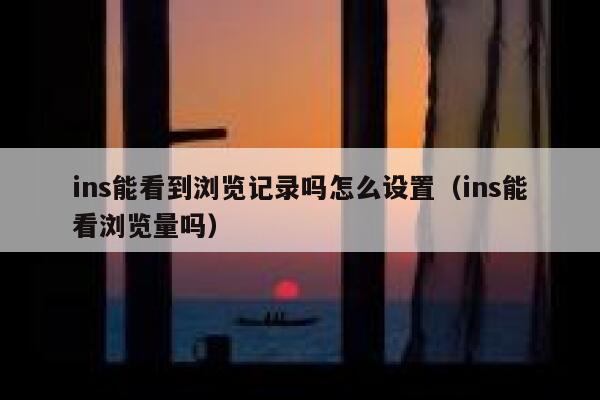 ins能看到浏览记录吗怎么设置（ins能看浏览量吗） 第1张