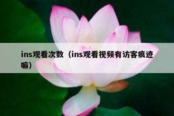 ins观看次数（ins观看视频有访客痕迹嘛） 第1张