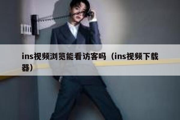 ins视频浏览能看访客吗（ins视频下载器） 第1张