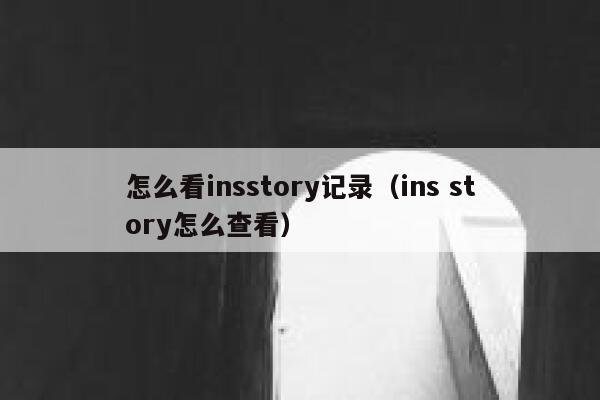 怎么看insstory记录（ins story怎么查看） 第1张