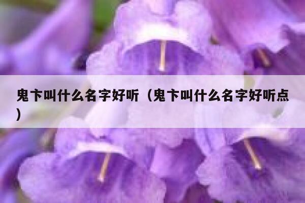鬼卞叫什么名字好听（鬼卞叫什么名字好听点） 第1张
