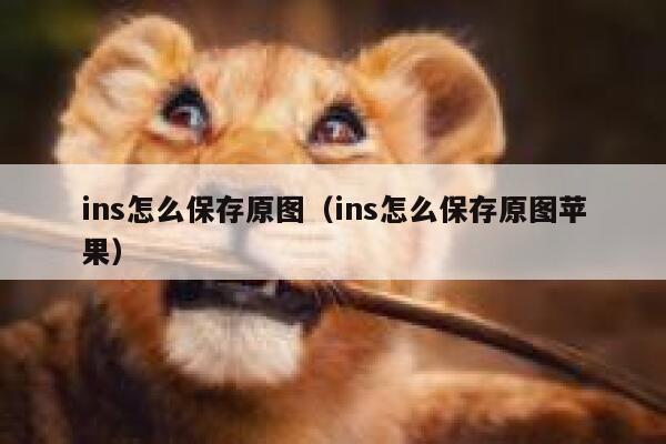 ins怎么保存原图（ins怎么保存原图苹果） 第1张