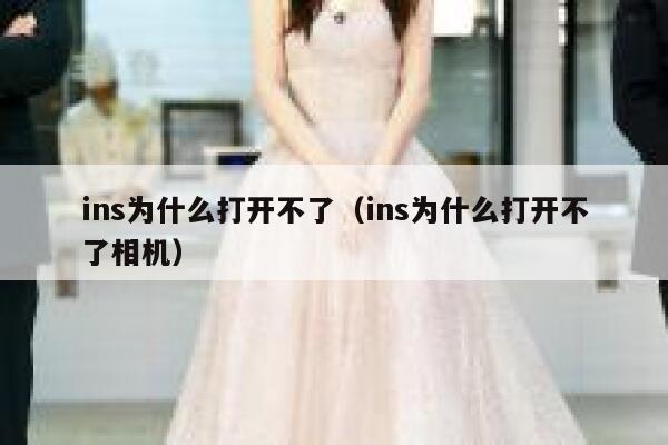 ins为什么打开不了（ins为什么打开不了相机） 第1张