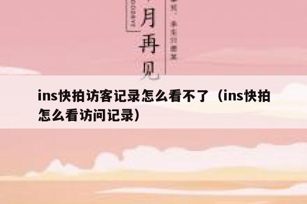 ins快拍访客记录怎么看不了（ins快拍怎么看访问记录） 第1张