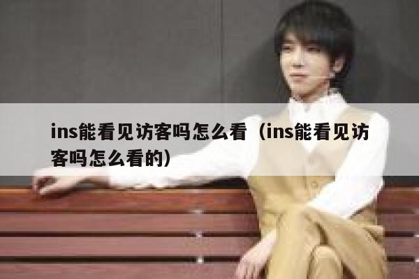 ins能看见访客吗怎么看(ins能看见访客吗怎么看的) 第1张 ins能看见访客吗怎么看(ins能看见访客吗怎么看的) 第1张