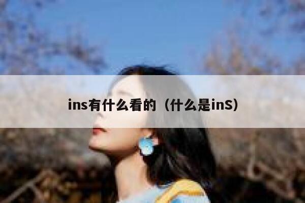 ins有什么看的（什么是inS） 第1张