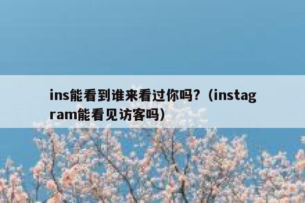 ins能看到谁来看过你吗?（instagram能看见访客吗） 第1张