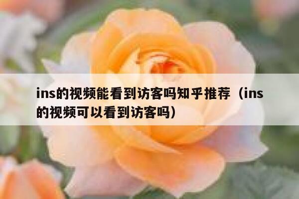 ins的视频能看到访客吗知乎推荐（ins的视频可以看到访客吗） 第1张