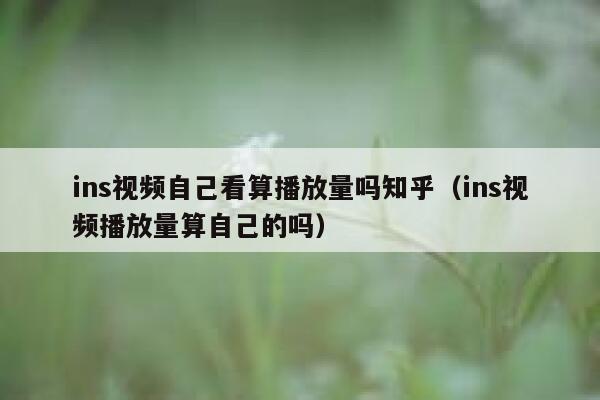 ins视频自己看算播放量吗知乎（ins视频播放量算自己的吗） 第1张
