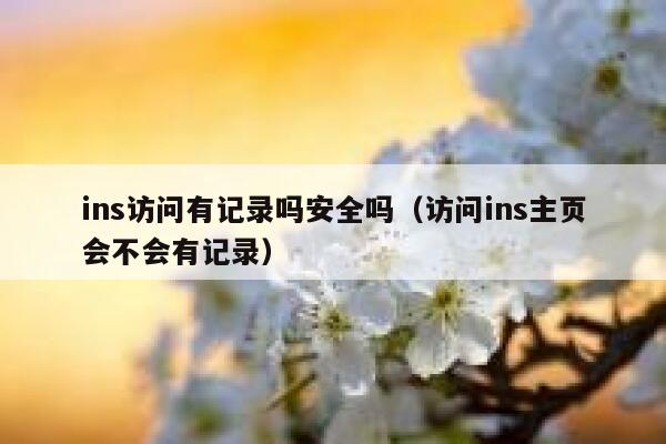 ins访问有记录吗安全吗（访问ins主页会不会有记录） 第1张