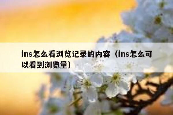 ins怎么看浏览记录的内容(ins怎么可以看到浏览量) 第1张 ins怎么看浏览记录的内容(ins怎么可以看到浏览量) 第1张