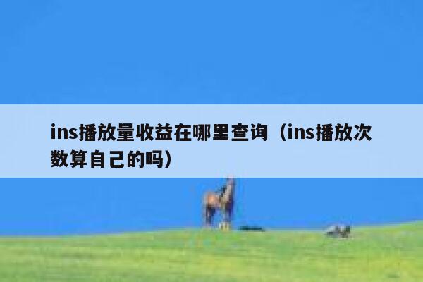 ins播放量收益在哪里查询（ins播放次数算自己的吗） 第1张