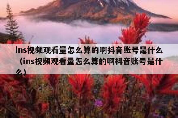 ins视频观看量怎么算的啊抖音账号是什么（ins视频观看量怎么算的啊抖音账号是什么） 第1张