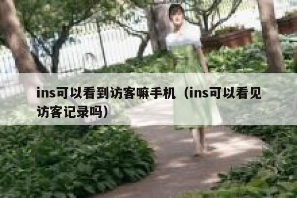 ins可以看到访客嘛手机（ins可以看见访客记录吗） 第1张