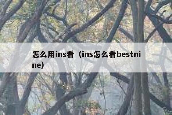 怎么用ins看（ins怎么看bestnine） 第1张