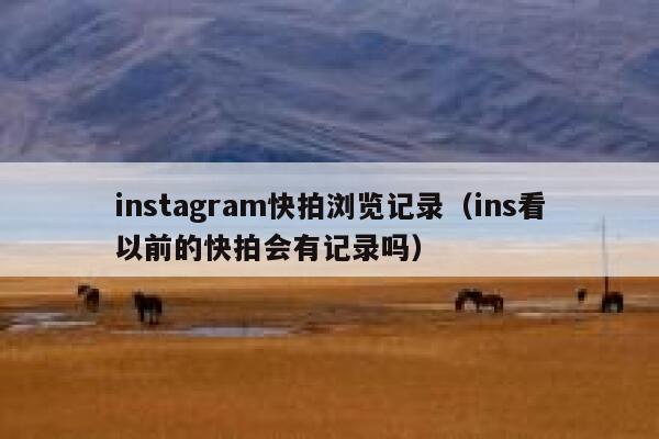 instagram快拍浏览记录（ins看以前的快拍会有记录吗） 第1张