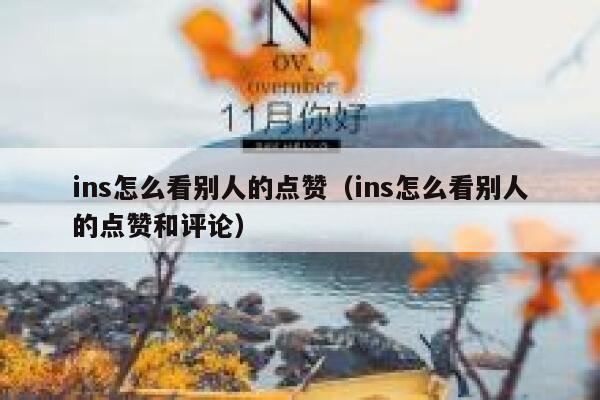 ins怎么看别人的点赞（ins怎么看别人的点赞和评论） 第1张