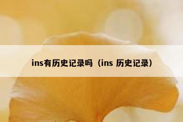 ins有历史记录吗（ins 历史记录） 第1张