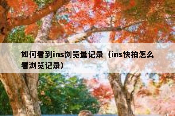 如何看到ins浏览量记录（ins快拍怎么看浏览记录） 第1张