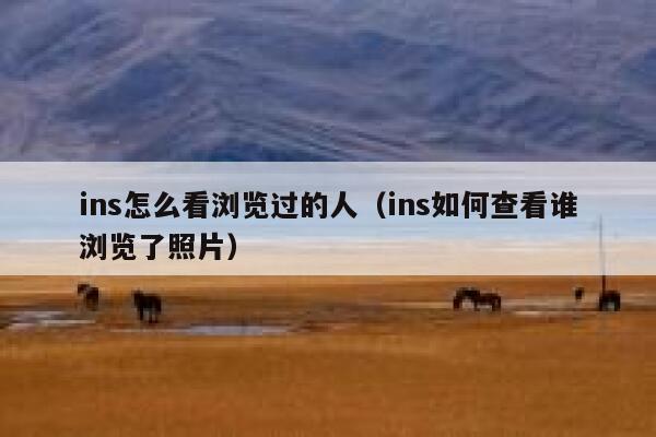 ins怎么看浏览过的人（ins如何查看谁浏览了照片） 第1张