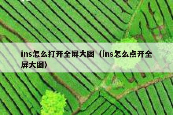 ins怎么打开全屏大图（ins怎么点开全屏大图） 第1张